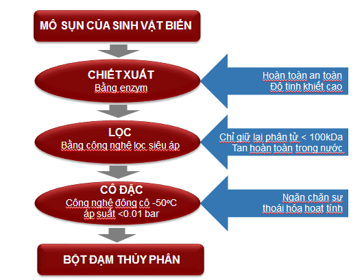 bot_dam_bone